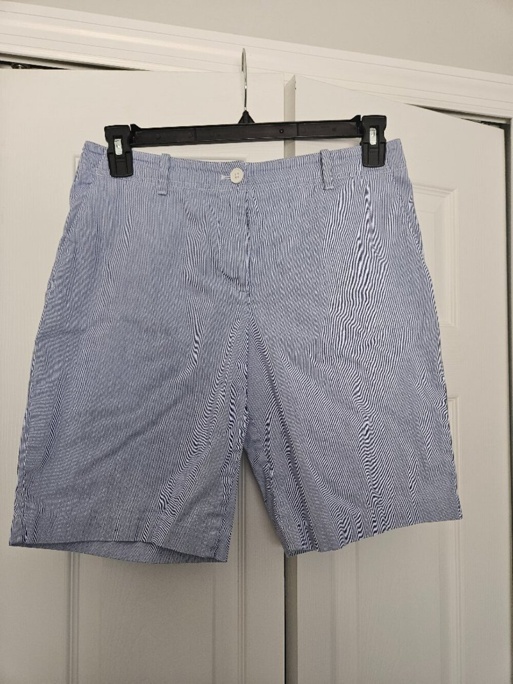 Blue and White Thin Stripe Chino Shorts